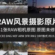 大象在线传媒-大象在线传媒，重塑数字媒体新生态的领航者