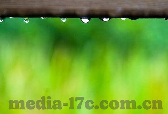 麻豆苹果app-麻豆苹果，移动互联网风尚的缩影