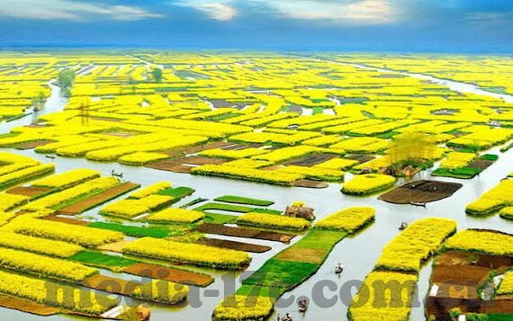 麻豆视频 app 下载-麻豆视频，娱乐新风尚