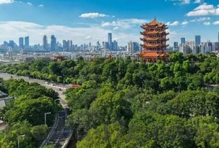 女教师伦理片-女教师伦理的微妙视角，在光与影的交织中